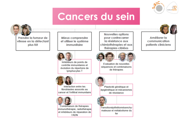 Programme Scientifique Cancer du sein