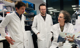 Equipe CRISPR - Raphaël Margueron, Aurélien Boré, Michel Wassef
